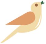 局域网安装共享打印机,无法连接局域网打印机