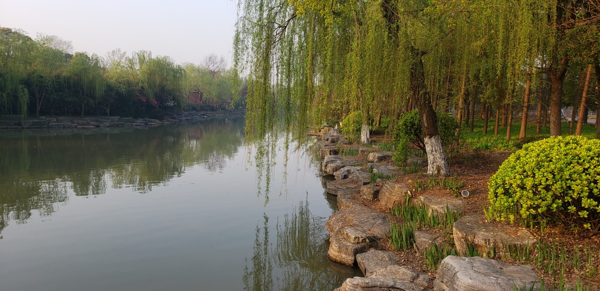 春江水暖鸭先知兴化,春江水暖鸭先知是在靖江写的吗