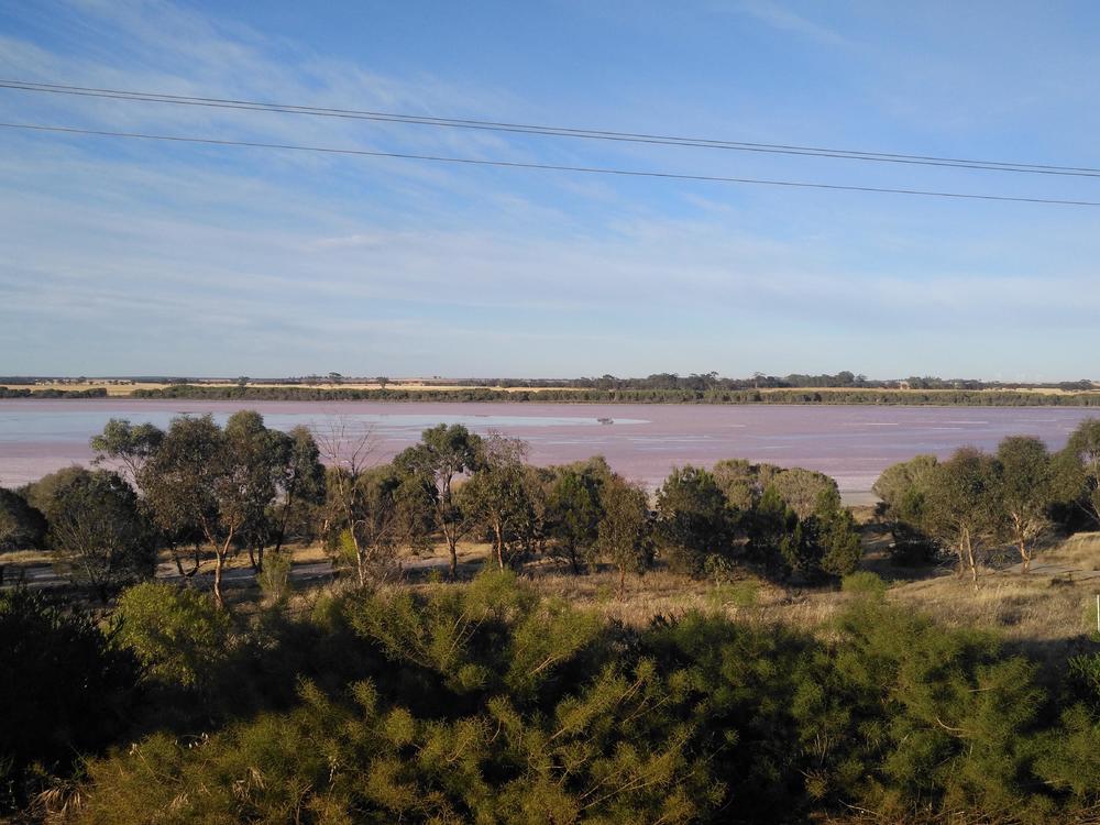 墨尔本阿德莱德周边-粉湖（LochLel）找回遗落的少女心