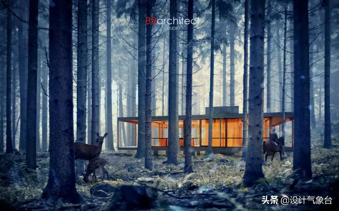 4000美金图片,五万美元效果图