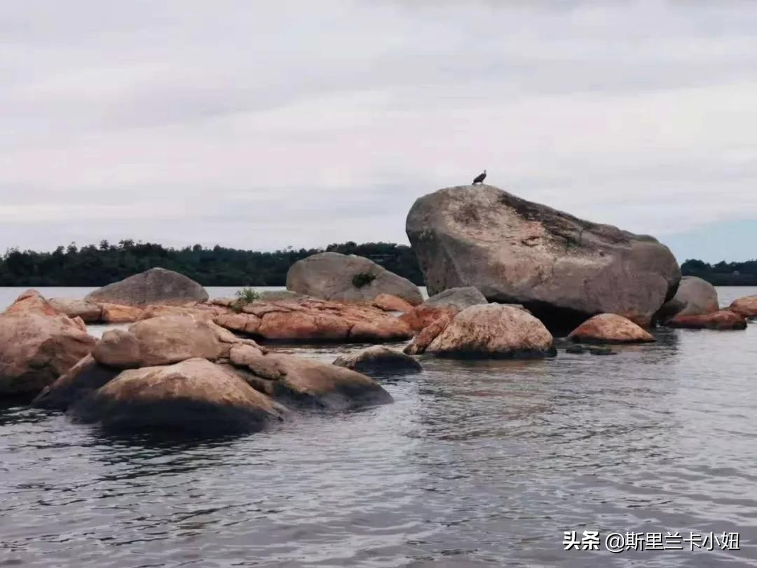 这座隐居别墅，上过设计杂志得过奖，是一位低调女主人的私宅