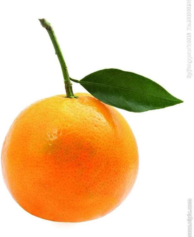 一年四季的时令蔬菜,一年四季的时令水果大全