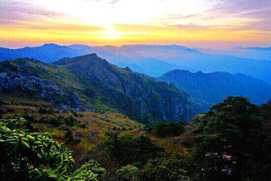 行天下金盛海棠,行天下品淮扬