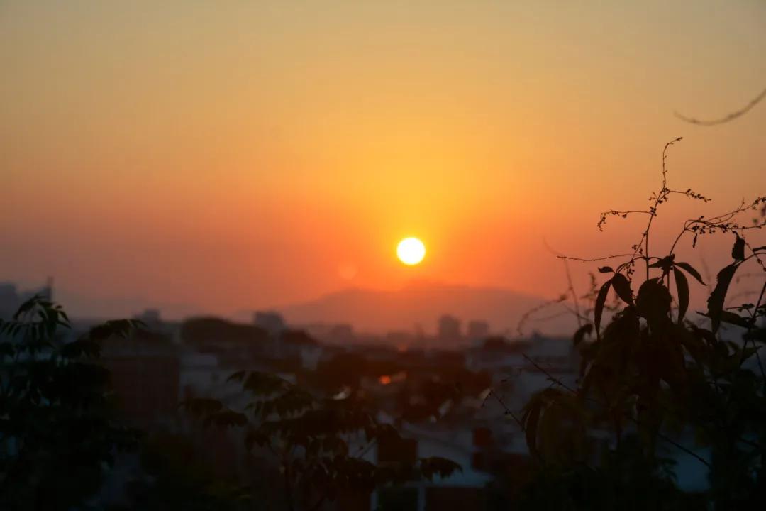 道德经四句话读懂人生大格局,道德经的大格局与大境界