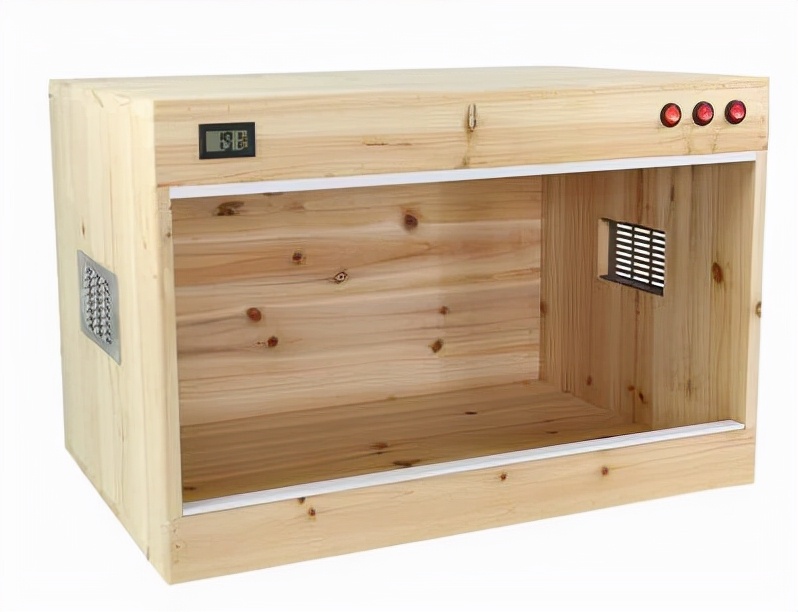 鬃狮蜥饲养箱用什么材料,鬃狮蜥新手入门饲养指南