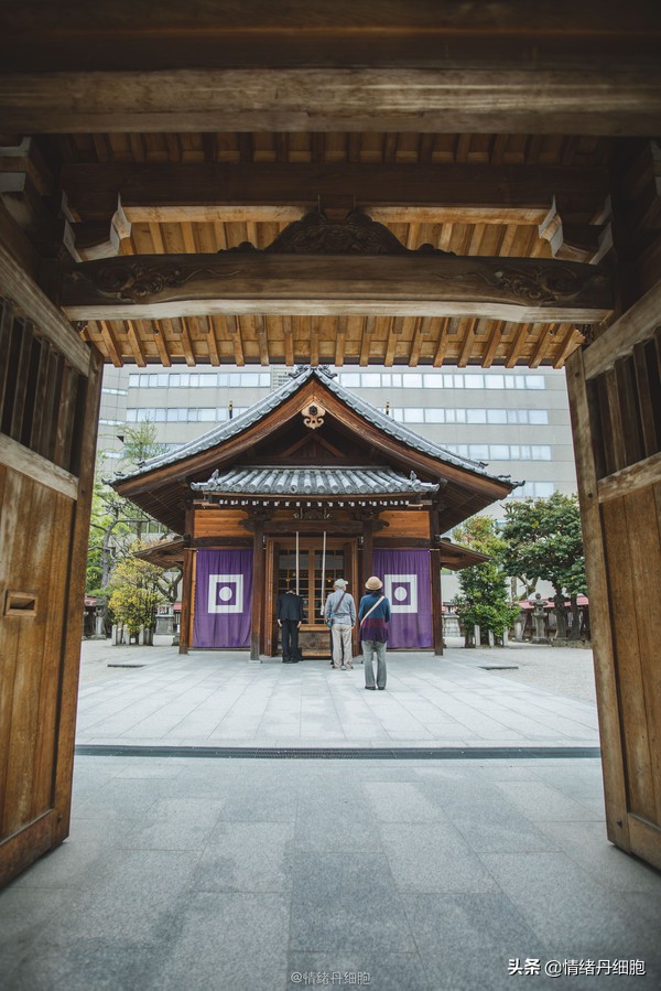 皇家加勒比邮轮量子号新加坡出发,皇家加勒比海洋量子号邮轮之旅