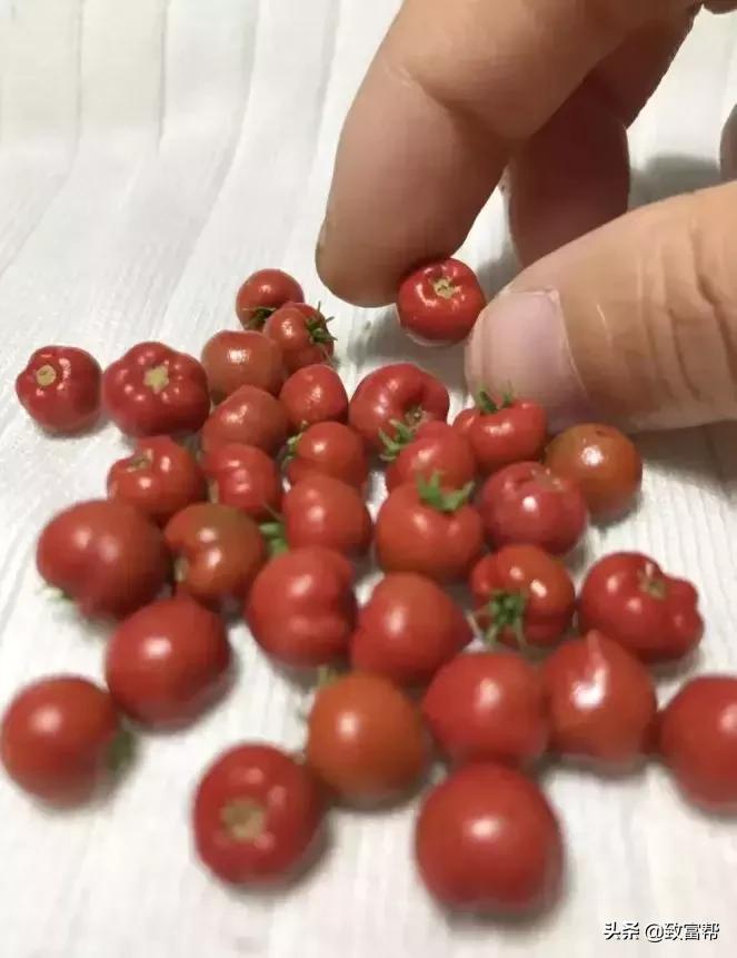 90后母亲被骗,90后妈妈因造假走红