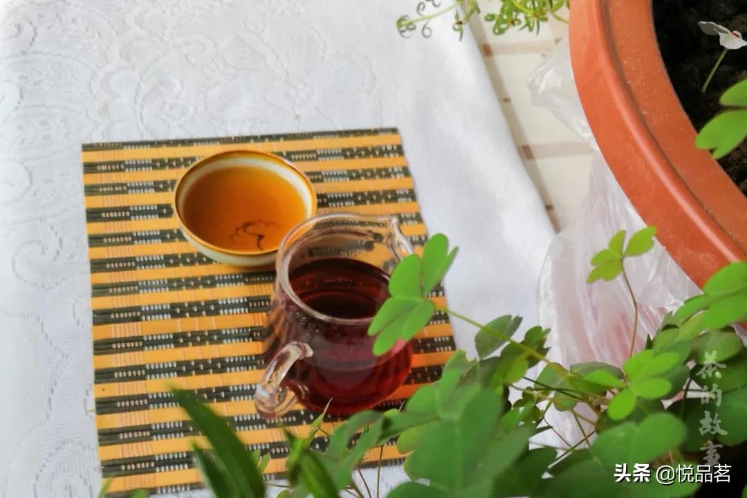 豪情，不敢说茶人都有，但性情，却是茶人的特性