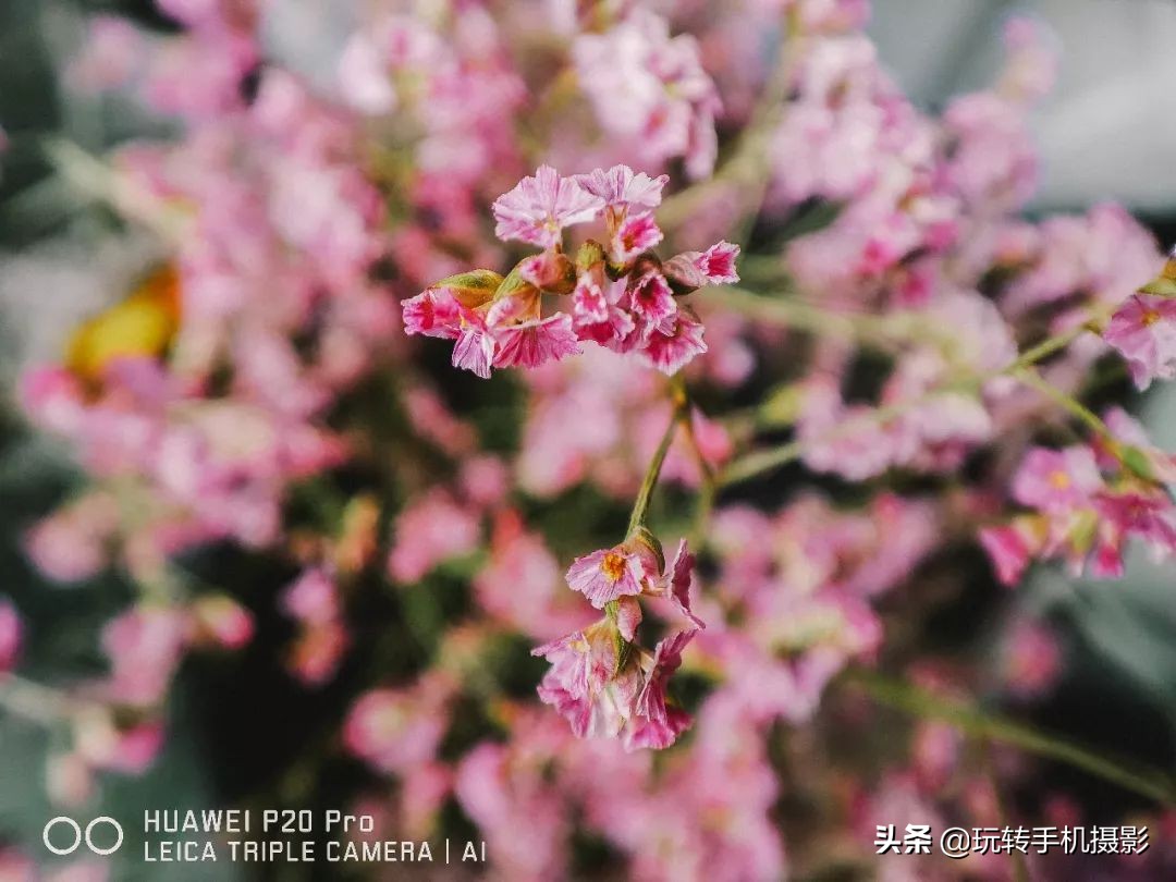 华为mate30epro拍照技巧,华为手机mate30拍照技巧图解教程