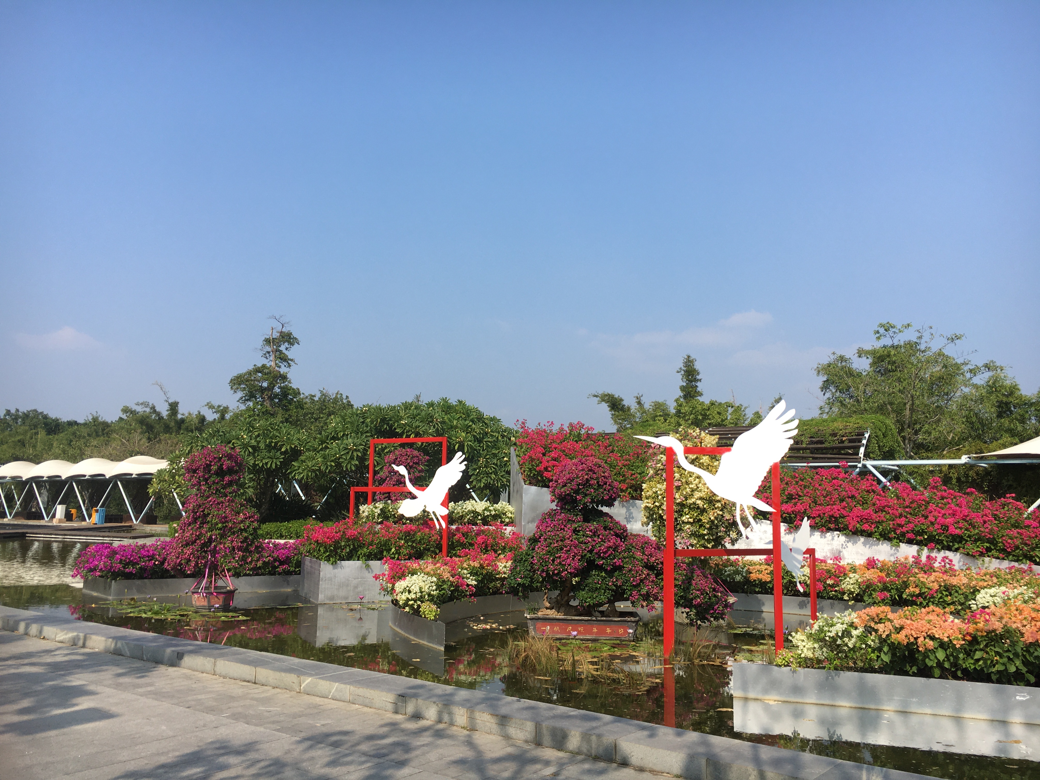 园博园旅行年卡 (旅游年卡 园博园)