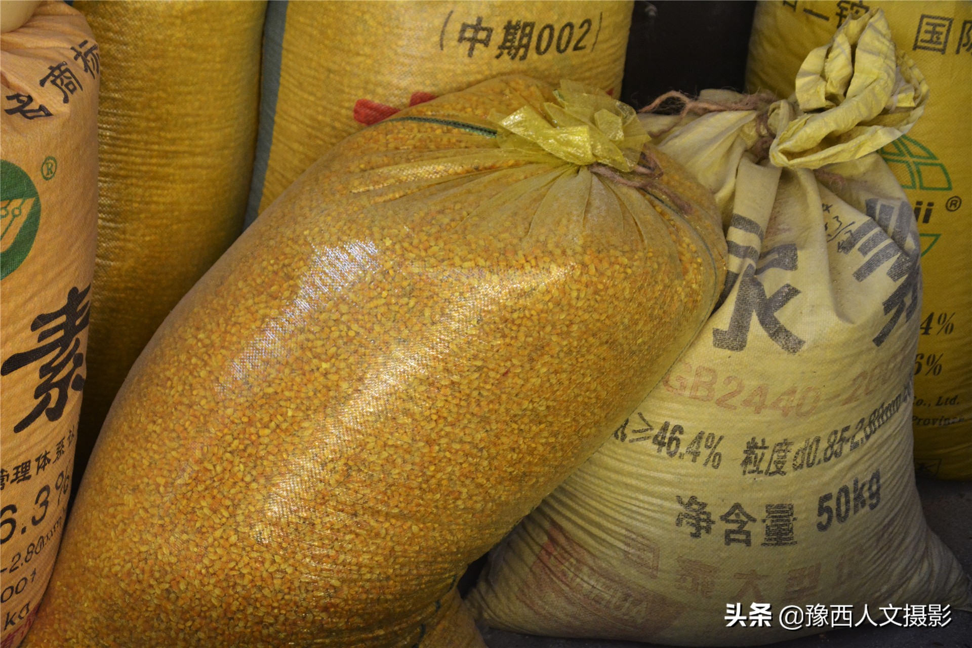 农村大叔酿酒五粮液,栾川自酿五粮液