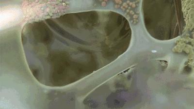 欧莱雅紫熨斗眼霜看起来很廉价,真实有用的眼霜推荐