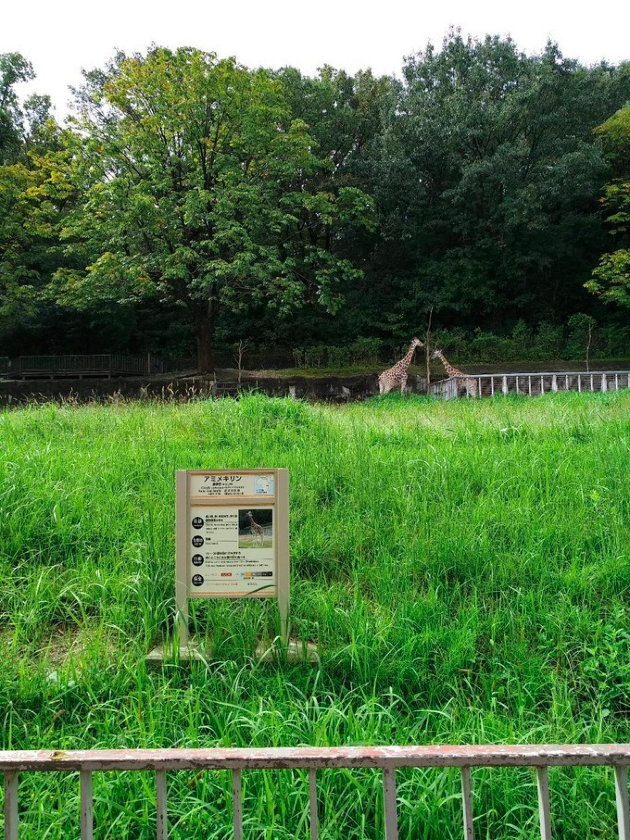 名古屋自由,名古屋3天自由行攻略