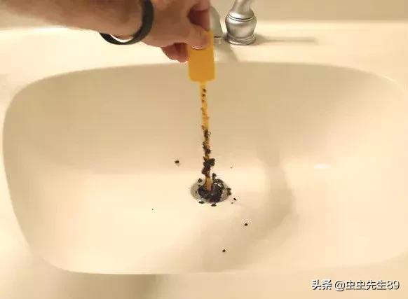 蹲便厕所小飞虫如何彻底消除,怎样消除厕所里的飞虫