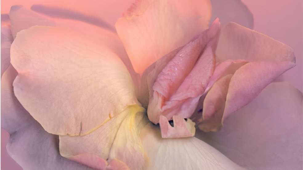 数公分长的针扎腹股沟，悄悄流行的私密整形，伤财更伤身