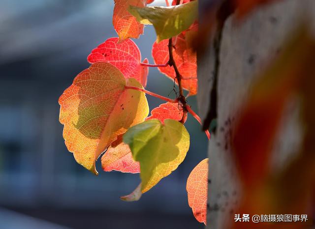 ps摄影后期软件工具使用教程,摄影ps后期工具栏设置