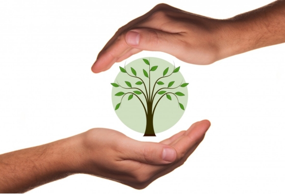 环保产业“再发力”，盛大金禧抢抓合作“新机遇”