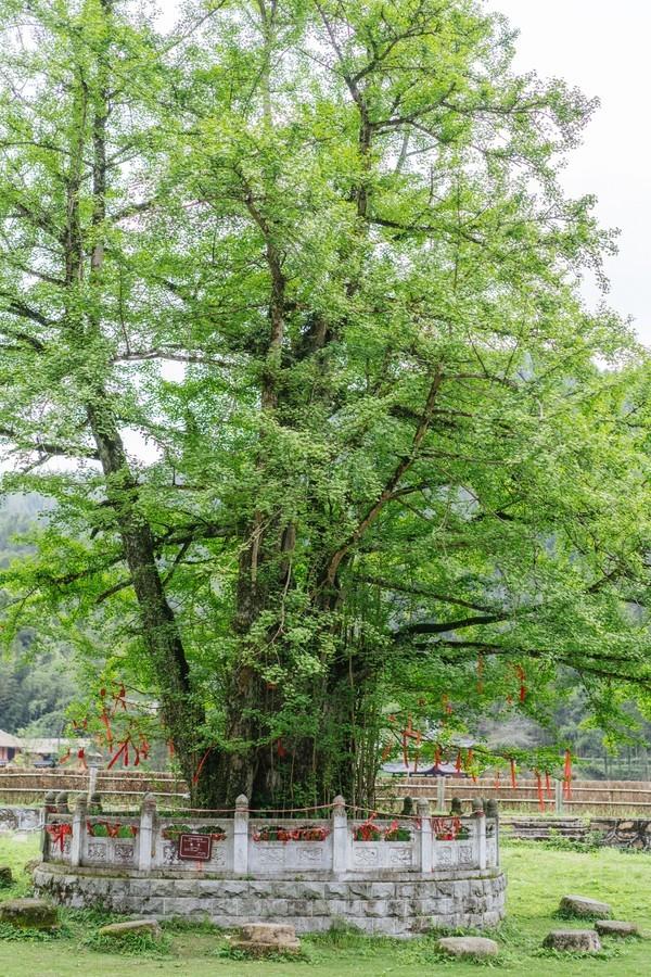 中国超美的十家民宿推荐,隐居在山林中的精品民宿