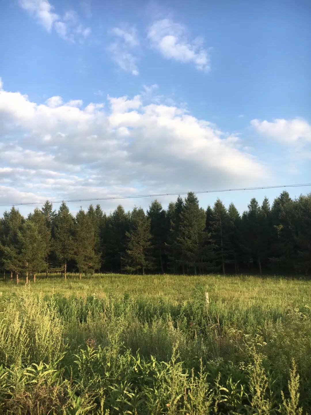 张北天路乌兰布统攻略,天津张北草原天路自驾游攻略