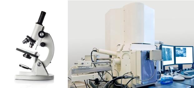 初中生物病毒和细菌的区别,生物学中细菌与病毒的区别