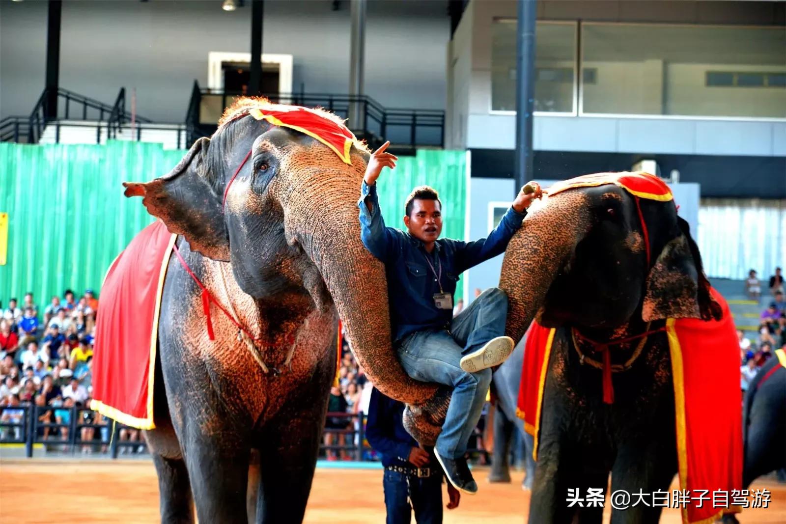 泰国风情之旅完整版小说,泰国风情十日游
