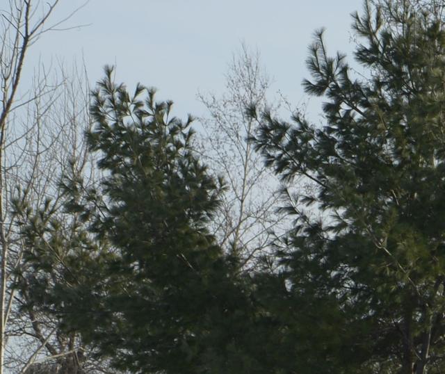 高性能大光圈人像镜头难在哪？从适马105mmF1.4ART说起