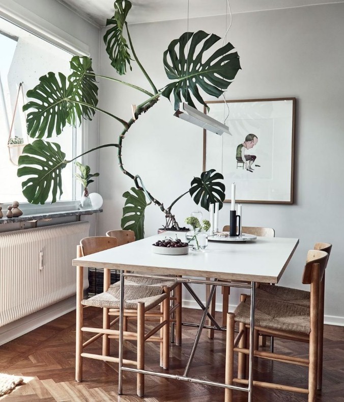 韩雪明星推荐好物,韩雪好物