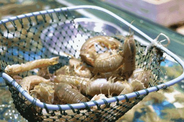 门头沟大排档小吃一条街,门头沟大排档美食