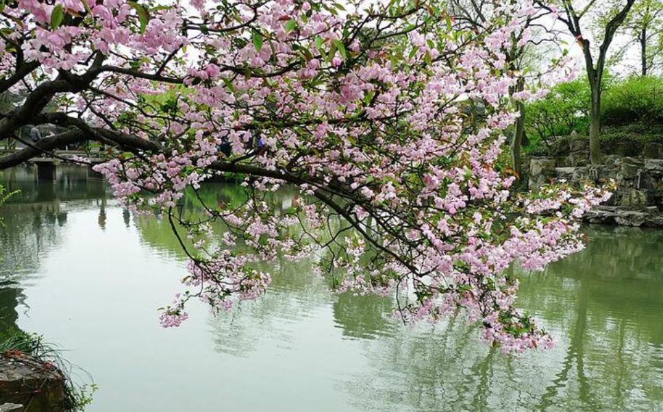 十首写春天的诗,十二首春词