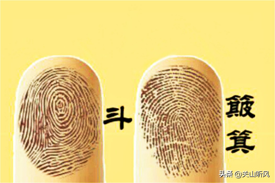 有斗没斗是什么意思,没有斗是什么意思
