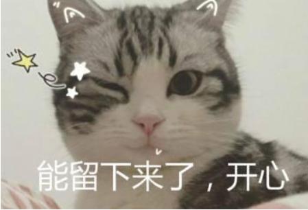 猫咪不出门需要驱虫吗,不出门的猫咪还用驱虫吗