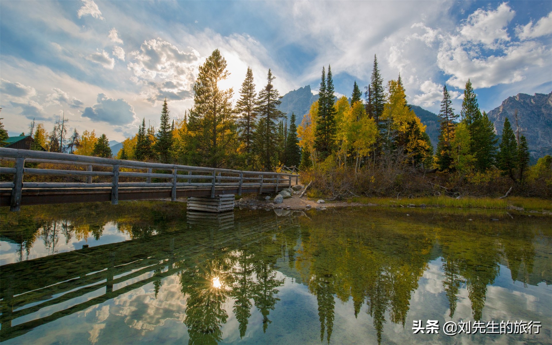 日本旅行冷知识,一粒种子的旅行中的冷知识