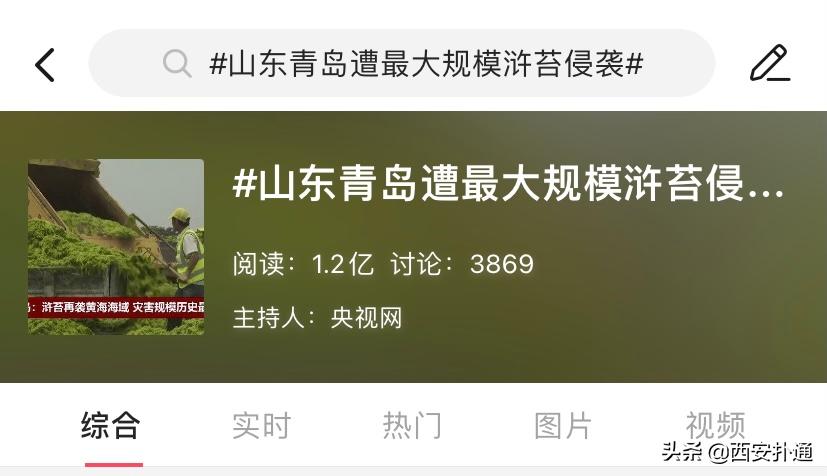 青岛烟台威海玩海攻略,青岛威海烟台大连环线旅游攻略