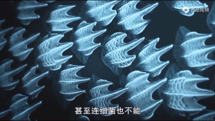 豆瓣9.3分纪录片美国,豆瓣9.8分的纪录片有哪些