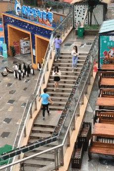 遛狗搞笑图片把主人鞋都追掉,遛狗被猫砸中