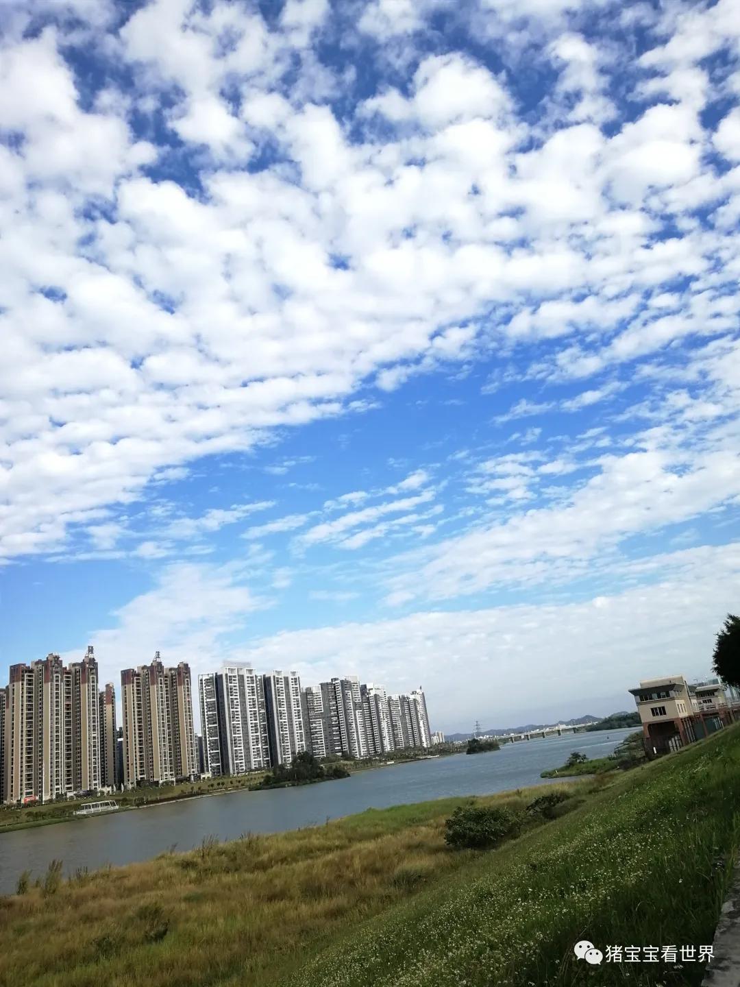 偌大的城市我的栖身之处在何处,偌大的城市容不下一个漂泊的灵魂