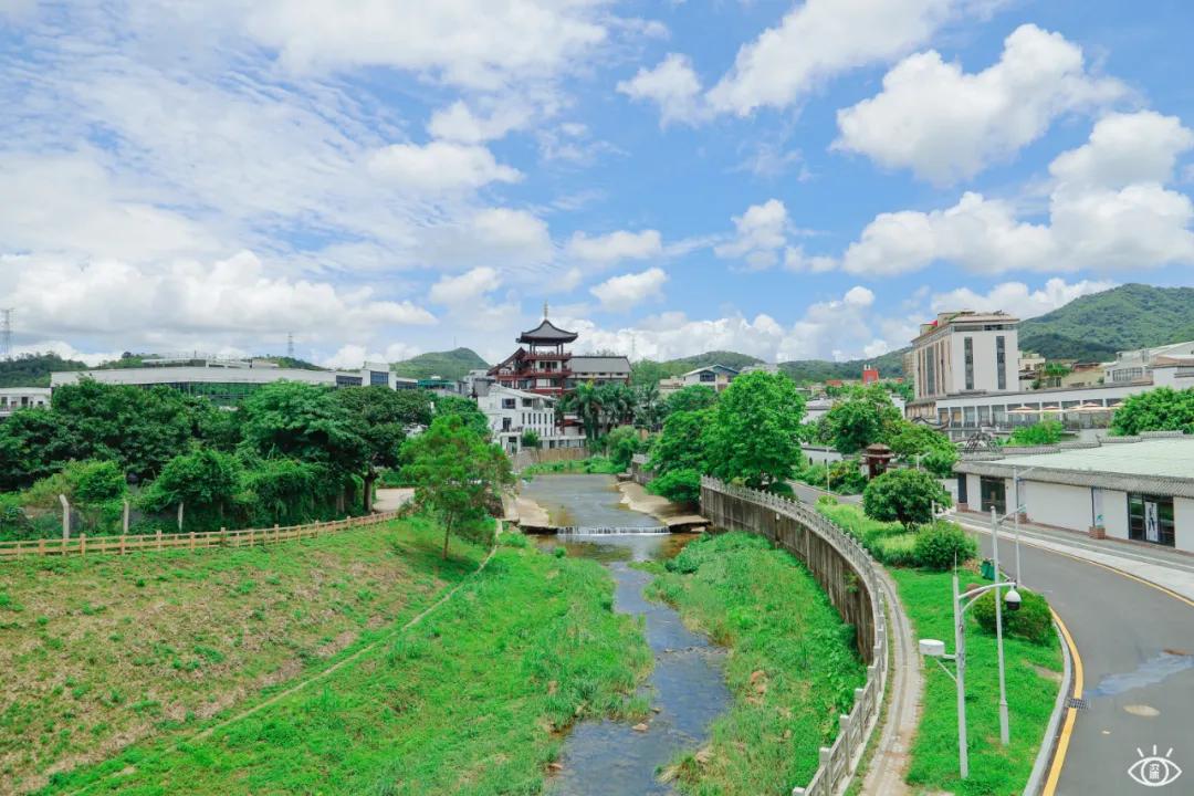 深圳这10条绿道你去过没,深圳十大绿道排行榜
