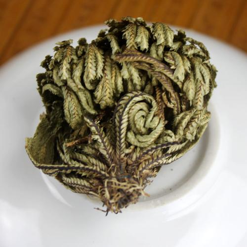 农村小野草“九死还魂”，缺水成枯草，遇水就复活，如今成高档货