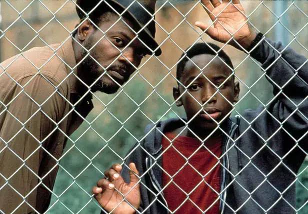 神盾局特工复仇者联盟观影顺序,复仇者联盟1中的神盾局特工