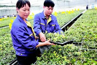 农业未来5年发展趋势2012,农业经济的发展趋势