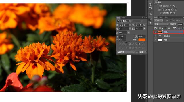ps中的四类蒙版怎样应用,photoshop中如何添加蒙版