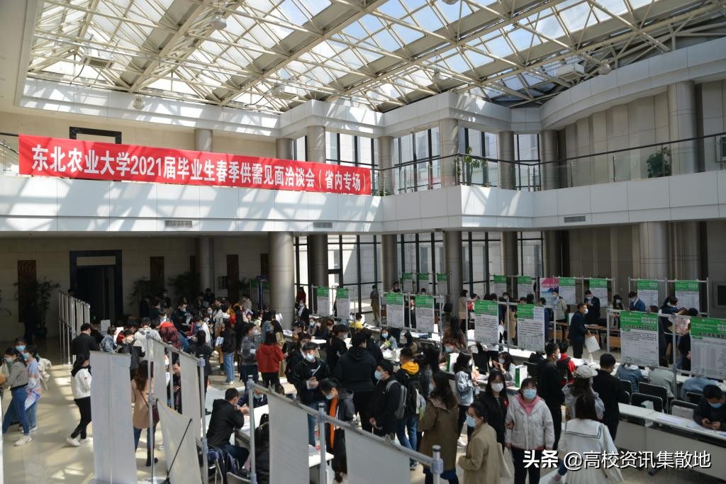 东北农大是211或是985的院校吗,东北农业大学是双一流建设高校么