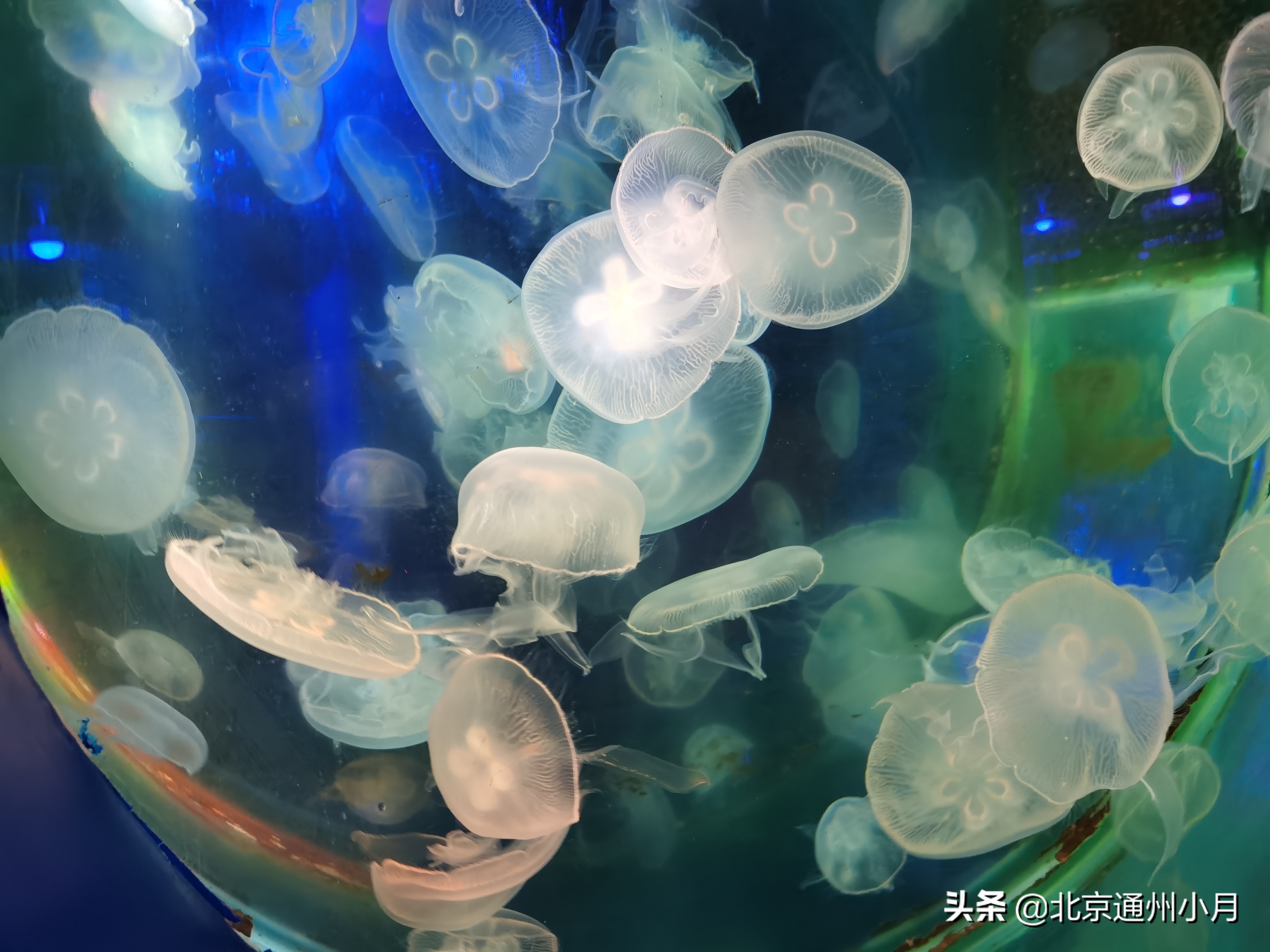 北京海底世界游览时间表,北京海底世界值得玩