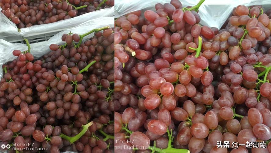 库存葡萄行情,2020年年底库存盘点清单