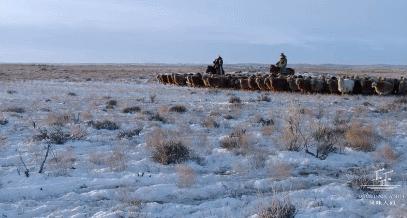 豆瓣8.6分什么意思,豆瓣8.5分意味着什么