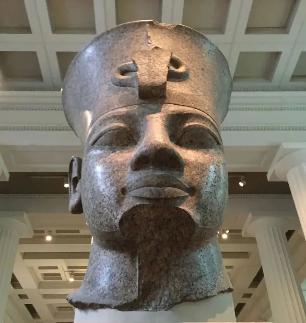 胡椒有白胡椒和黑胡椒之分,山胡椒黑胡椒白胡椒