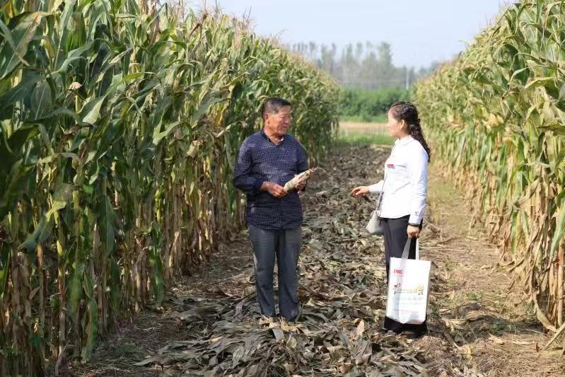 扎扎实实服务乡村振兴战略徐州人保财险创新农险高质量发展纪实