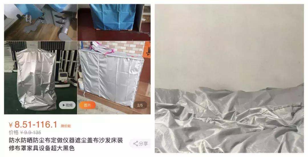 行走的蒲公英猫咪照片,行走的蒲公英猫品种