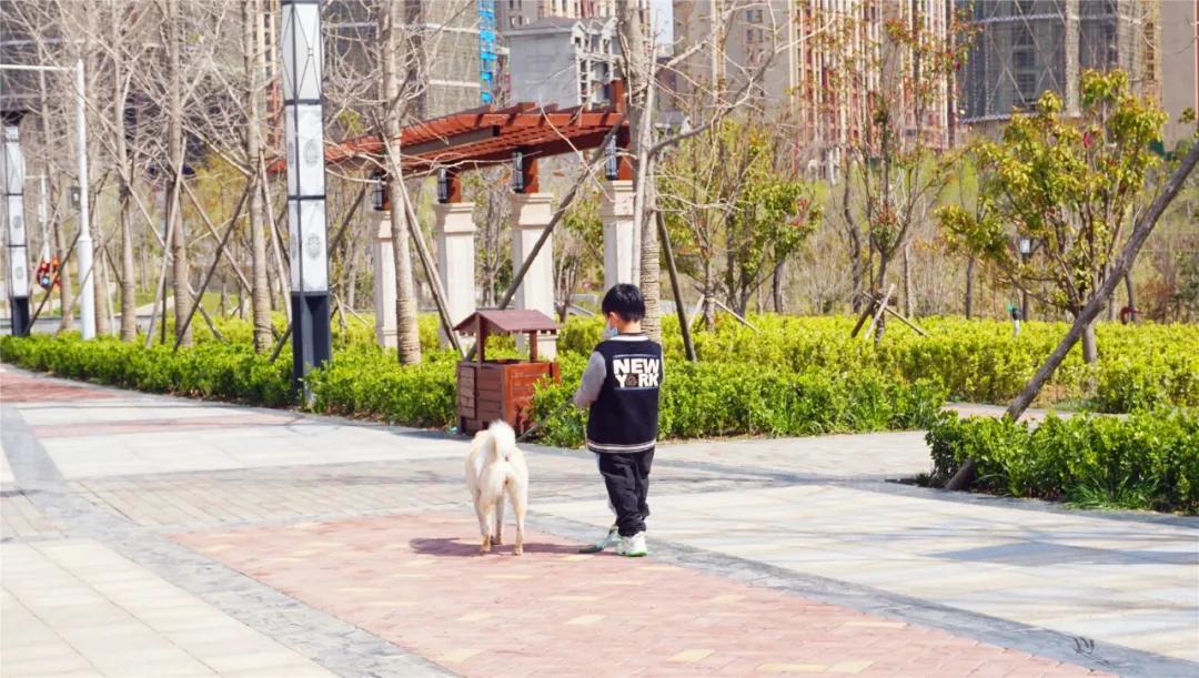 郑州免费游玩公园推荐,郑州新公园开放了吗