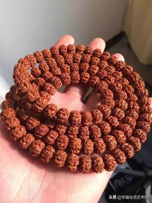 怎样挑选金刚是最好的,刚刚入手的金刚必须用水泡吗